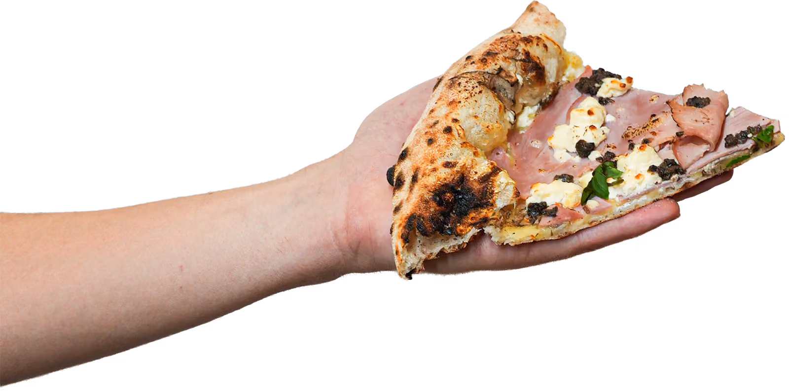 Roka drži kos pice s pršutom in tartufato