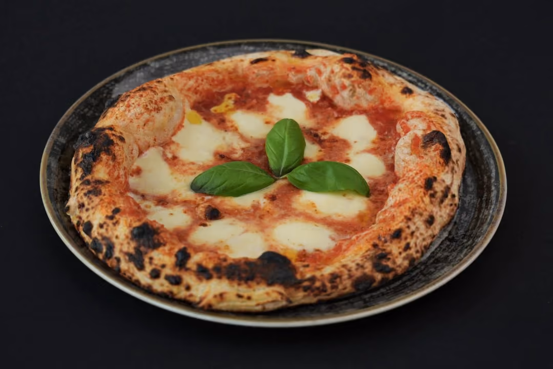 Pica Margerita